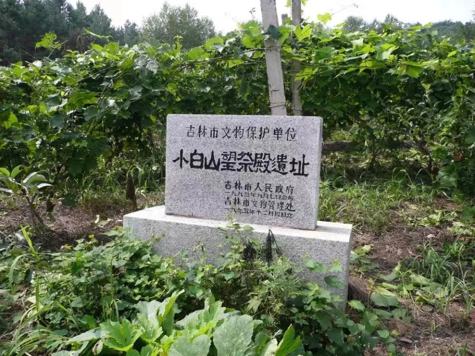 景点上新,快来做朋友圈打卡第一人~