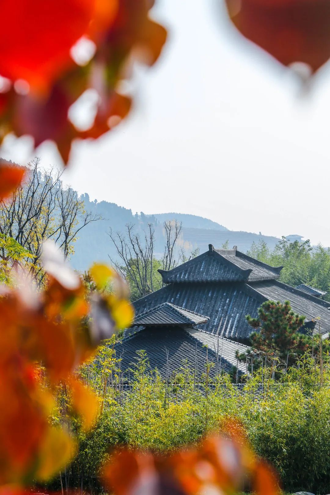 "含秋量"百分百,在尼山圣境沉浸式入秋!