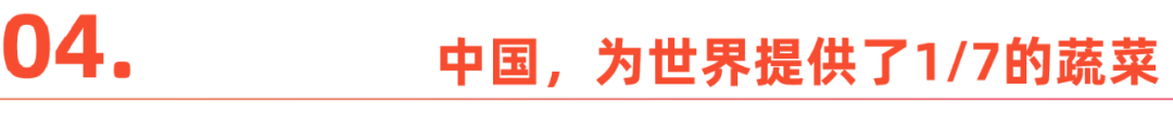 爱种菜的中国人，正在海外创造新风口