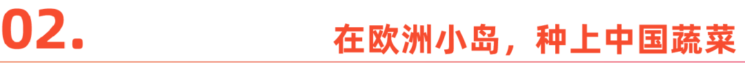 爱种菜的中国人，正在海外创造新风口