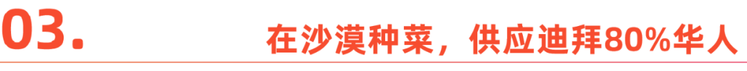 爱种菜的中国人，正在海外创造新风口