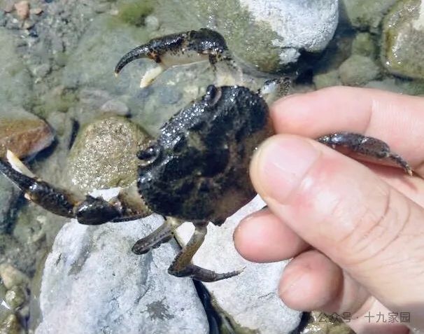 金秋时节，不可错过的沂源八大秋韵！