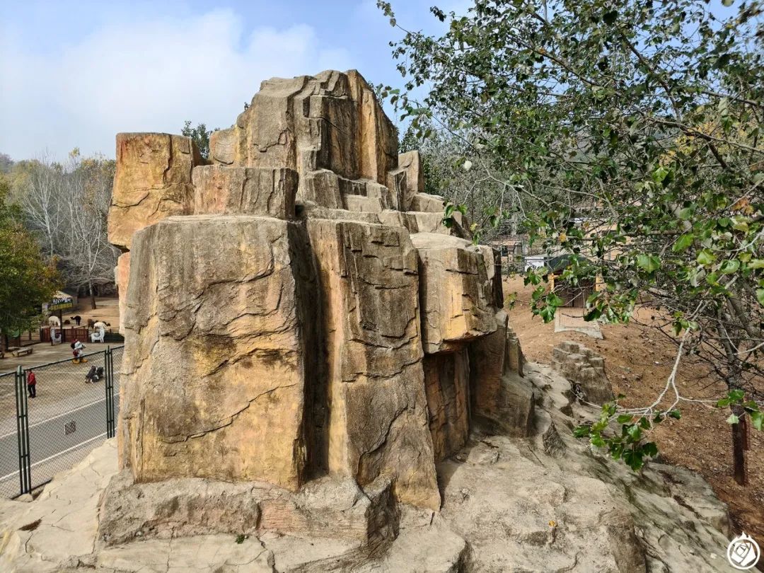 一山之隔两重天 | 大连森林动物园游记