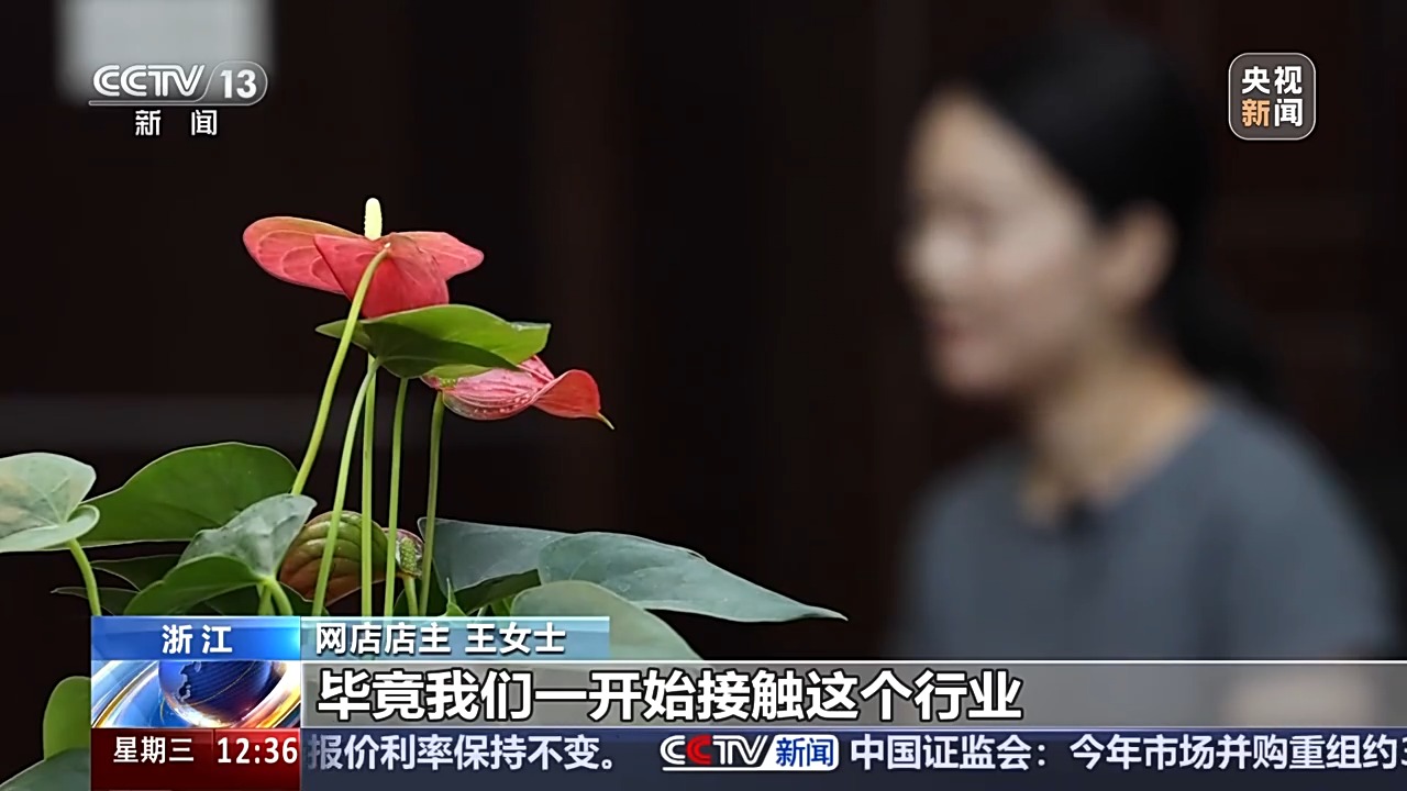 花钱就能“转评赞”，揭秘网络水军如何造“人气”