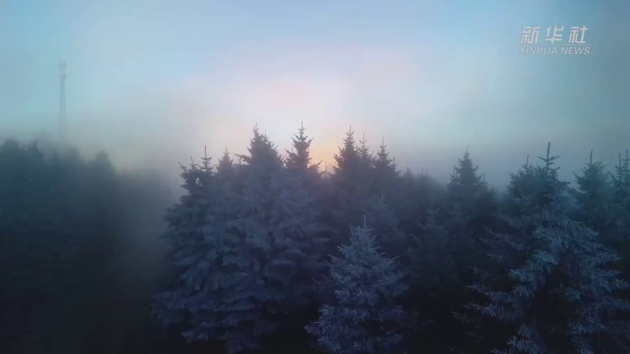 岭头飞雪日图片