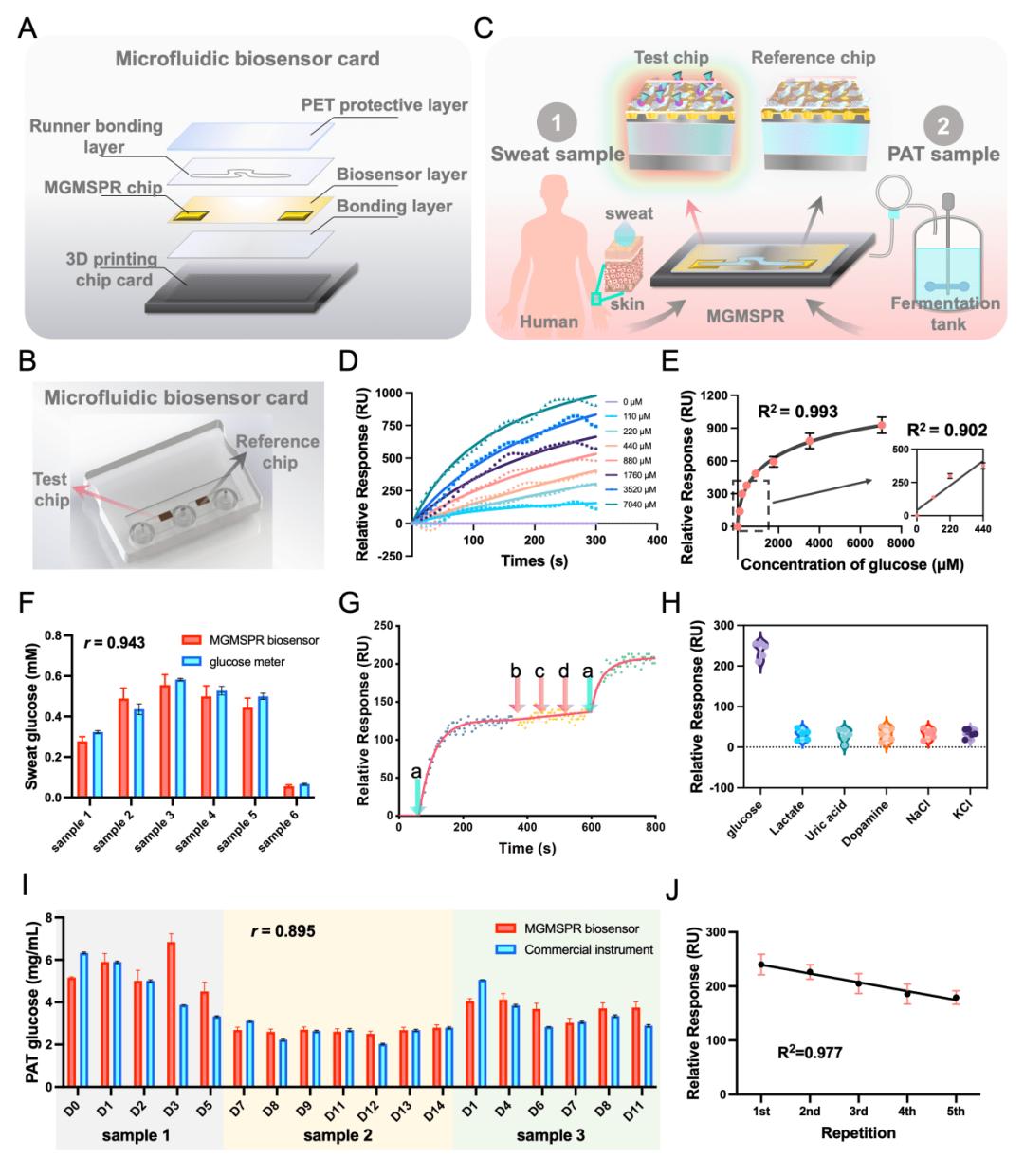 淮北师大学生团队研发新型水凝胶传感器 实现血清中过氧化氢酶高灵敏检测
