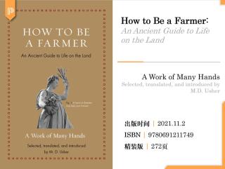 来自哲学先贤的生活指南：西塞罗、塞涅卡、亚里士多德有哪些宝藏建议？