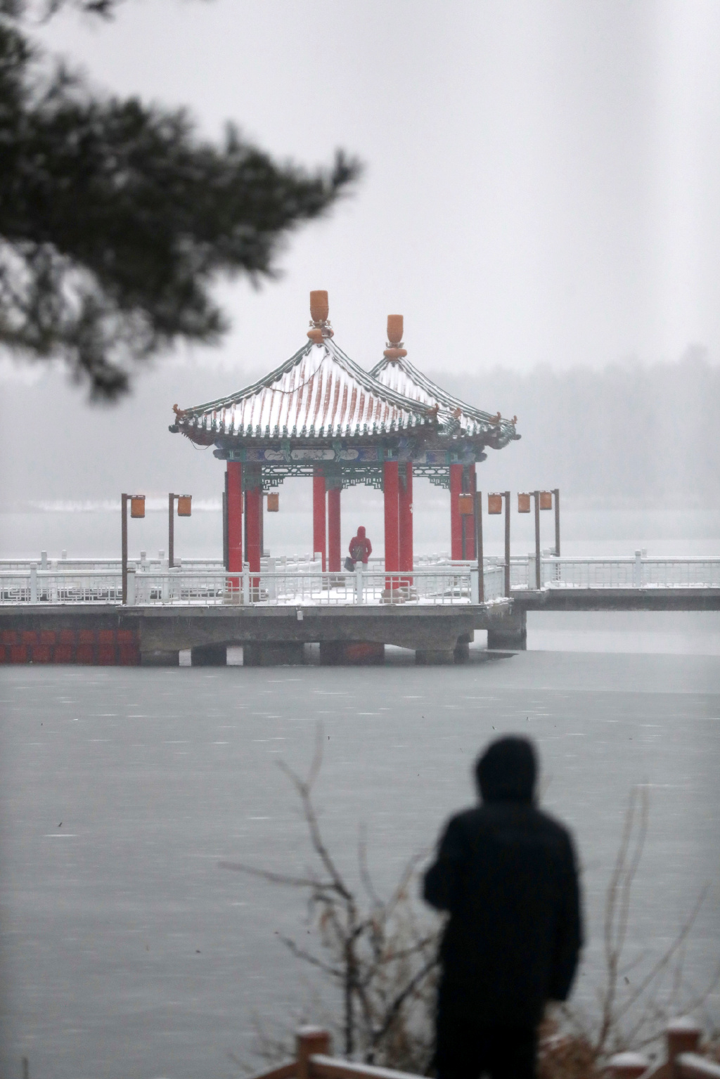 这才是“顶流”！长春，又有新惊喜！
