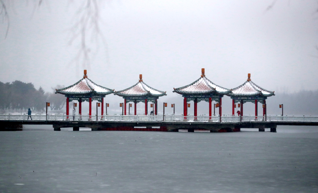 这才是“顶流”！长春，又有新惊喜！