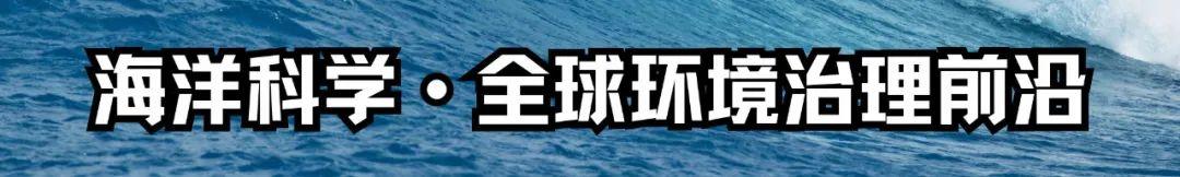 香港大澳搁浅喙鲸死亡！专家：注射麻醉剂可能是致死原因-第1张图片-香港亚特