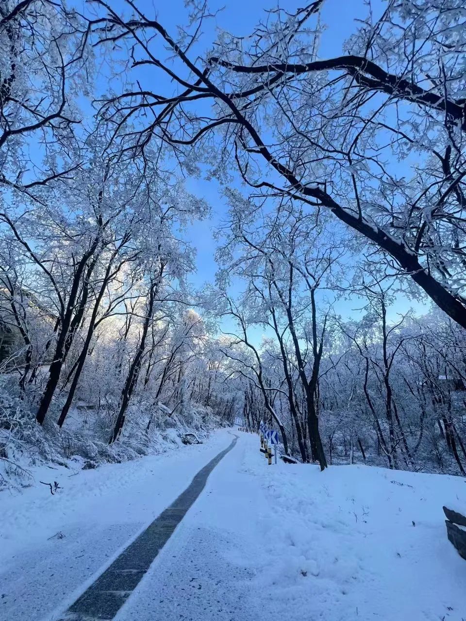 大熊山雪景雾凇图片图片