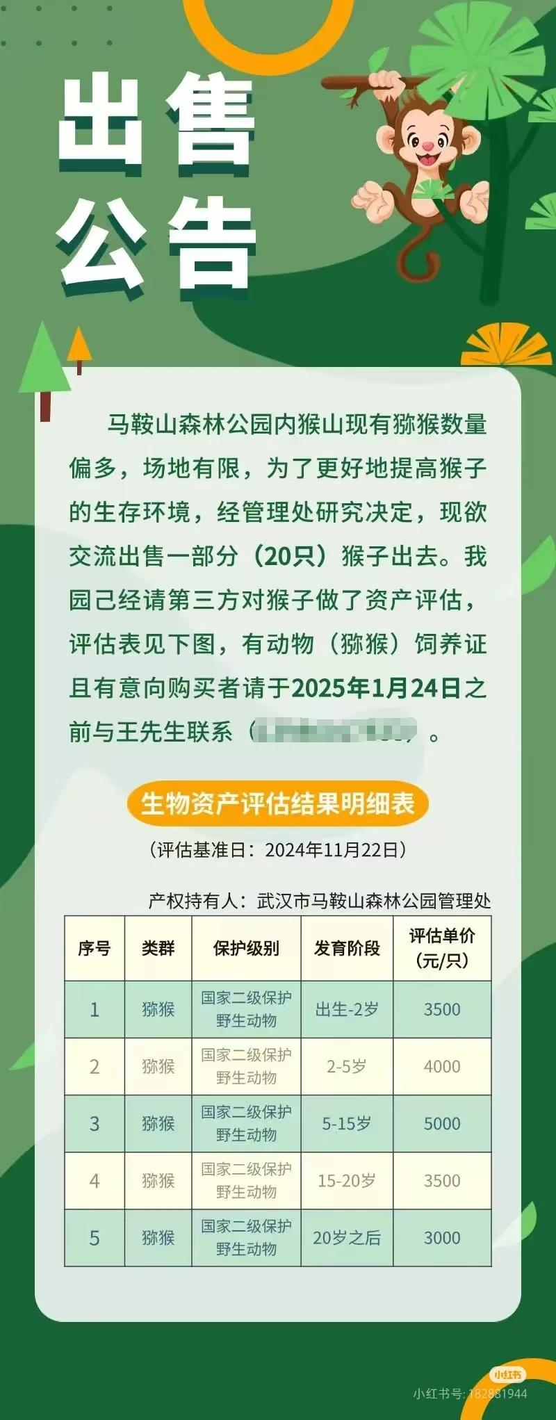 武汉一公园欲出售20只猕猴，园方：须有资质，个人不能购买