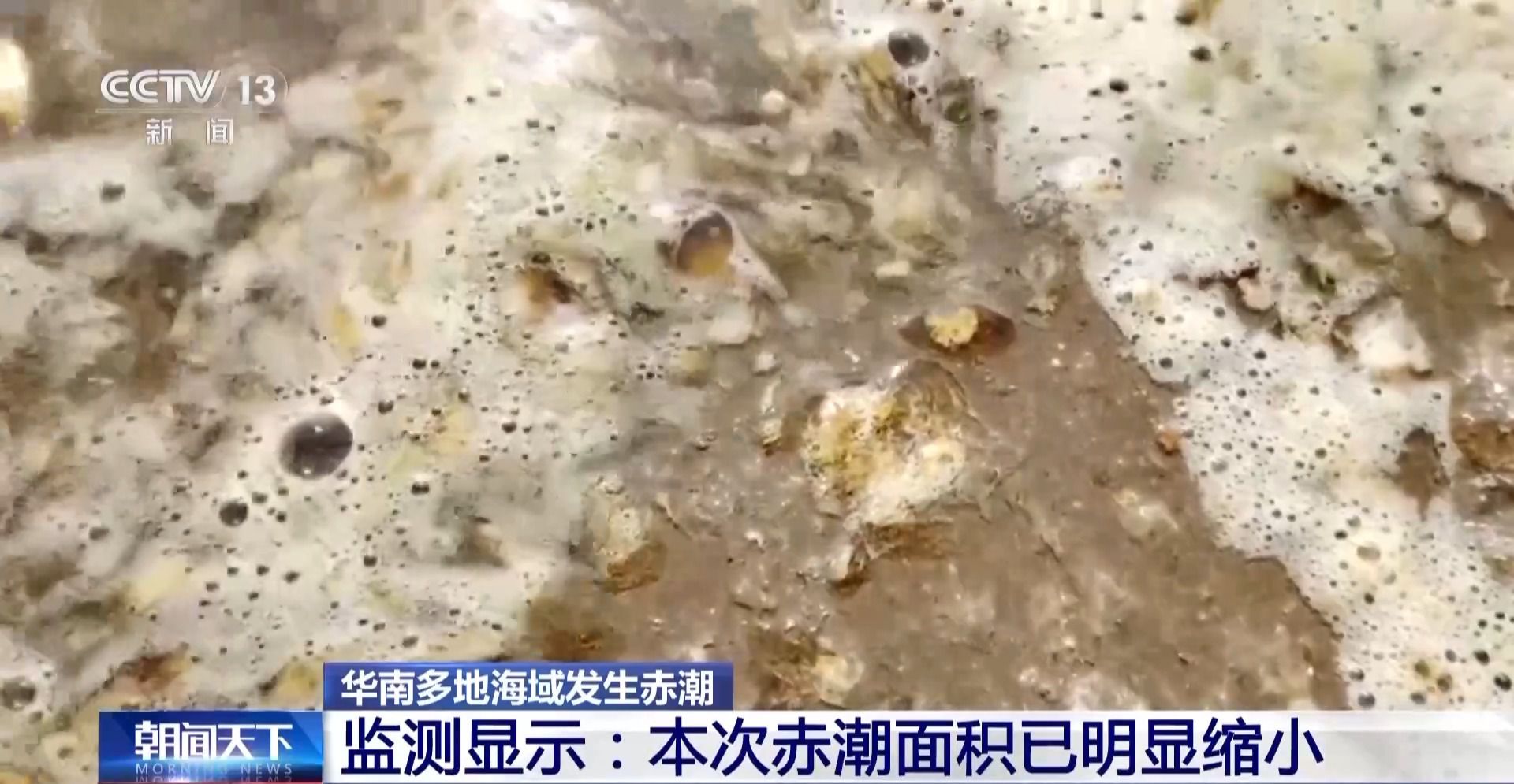 华南多地海域发生赤潮，专家提醒：不要去赤潮海域游玩、食用相关海产品