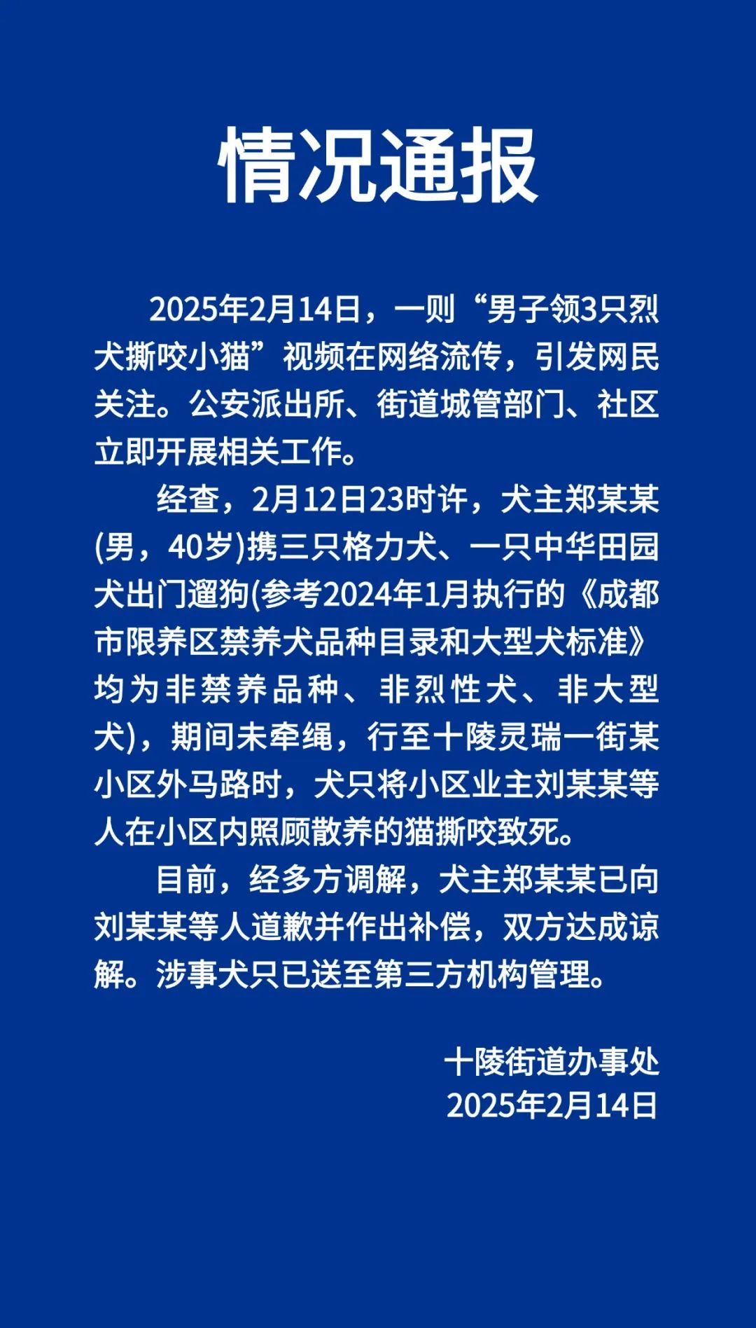 男子遛狗未牵绳致猫被咬死：犬主致歉并赔偿，犬只已送第三方