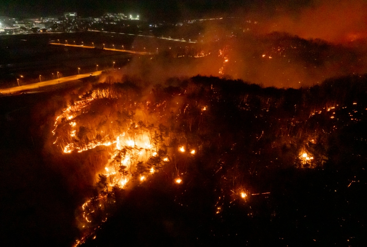 韩国东南部大型山火已造成19人死亡