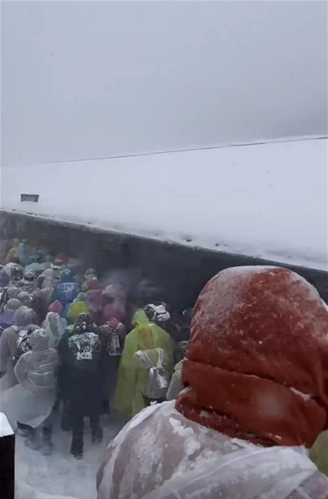 10分钟前:动物本能电影-降雪致长白山天池景区关闭，有游客在户外等待一小时，景区回应