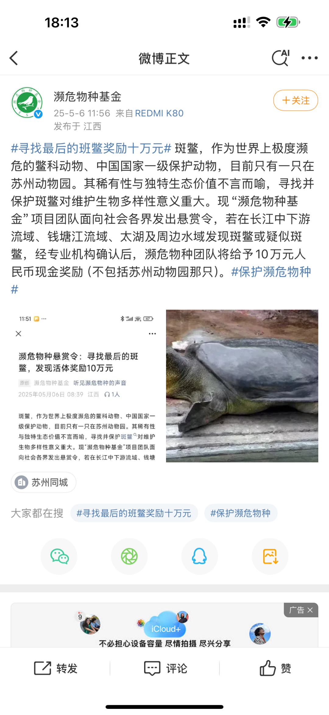 有人悬赏十万寻找“全国仅剩1只”的斑鳖，发帖者回应并证实