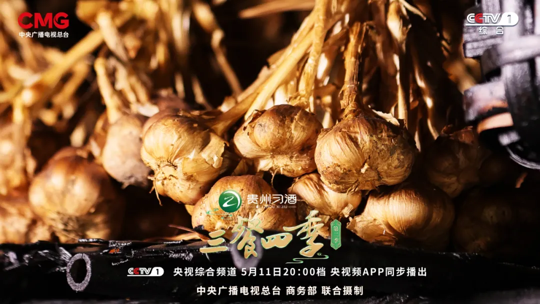 《三餐四季》广东篇今晚开播:食在岭南,遇见百味