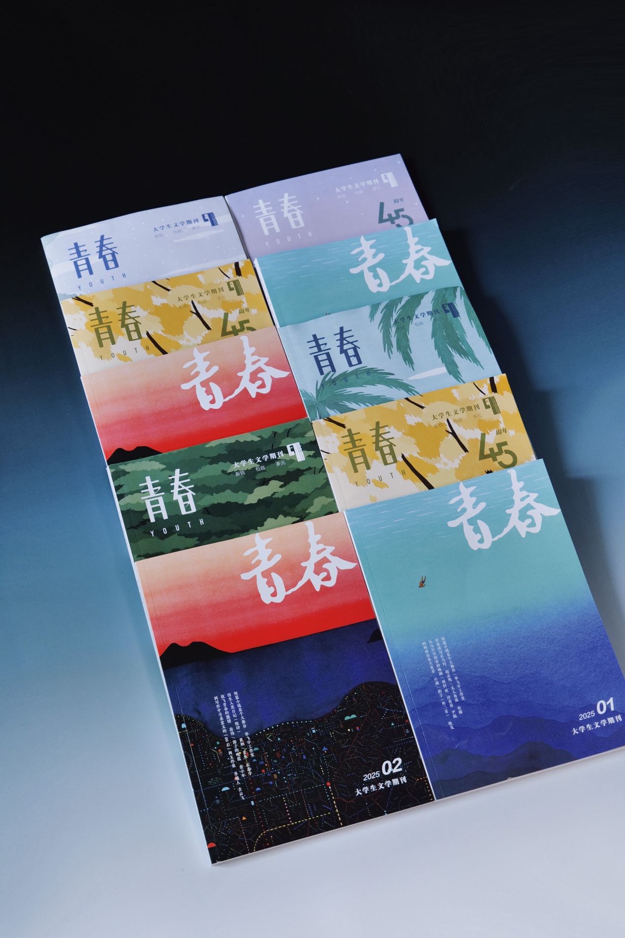 第十届青春文学奖揭晓，梁晓声获特别奖
