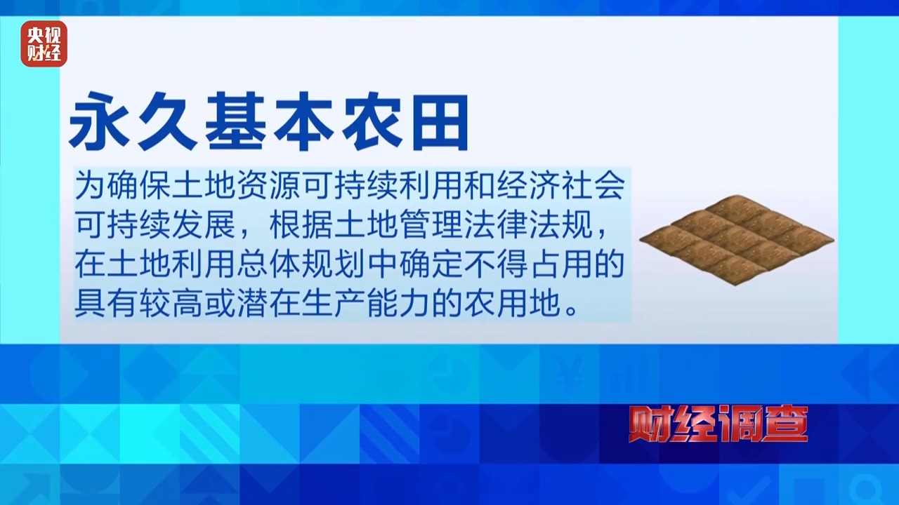 调查丨永久基本农田沦为垃圾堆场,整改为何成“纸面工程”?