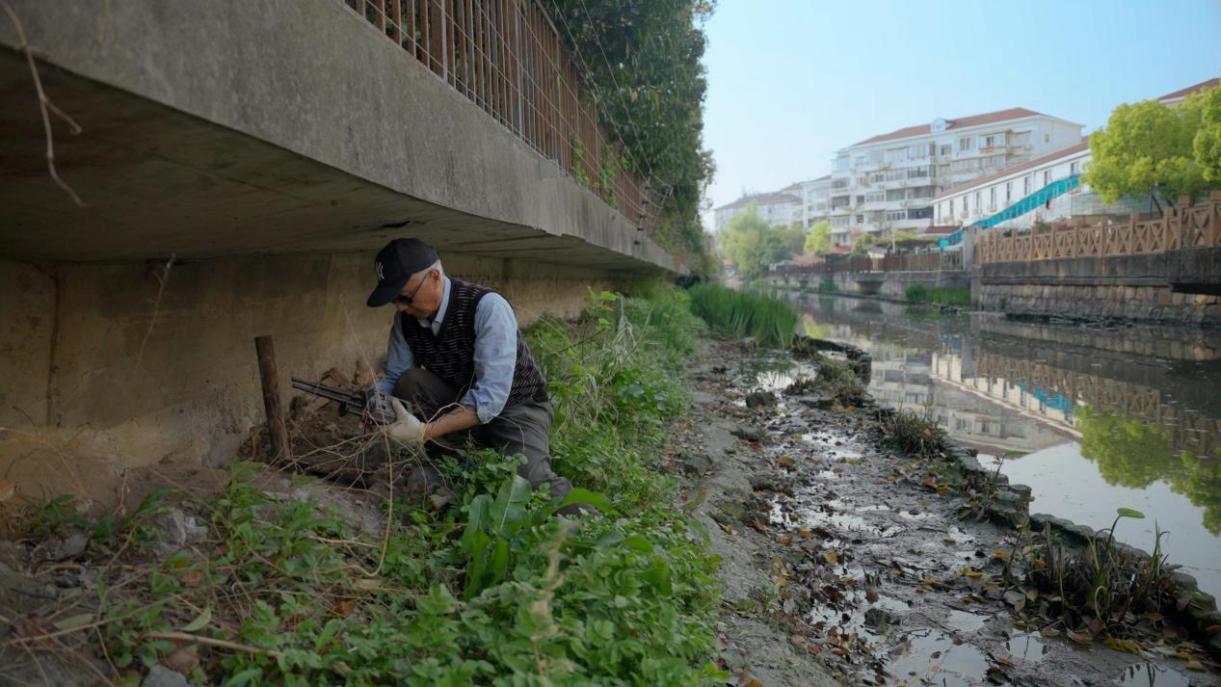 陈龙带你观察上海生物多样性,纪录片《我的城市邻居》明播出