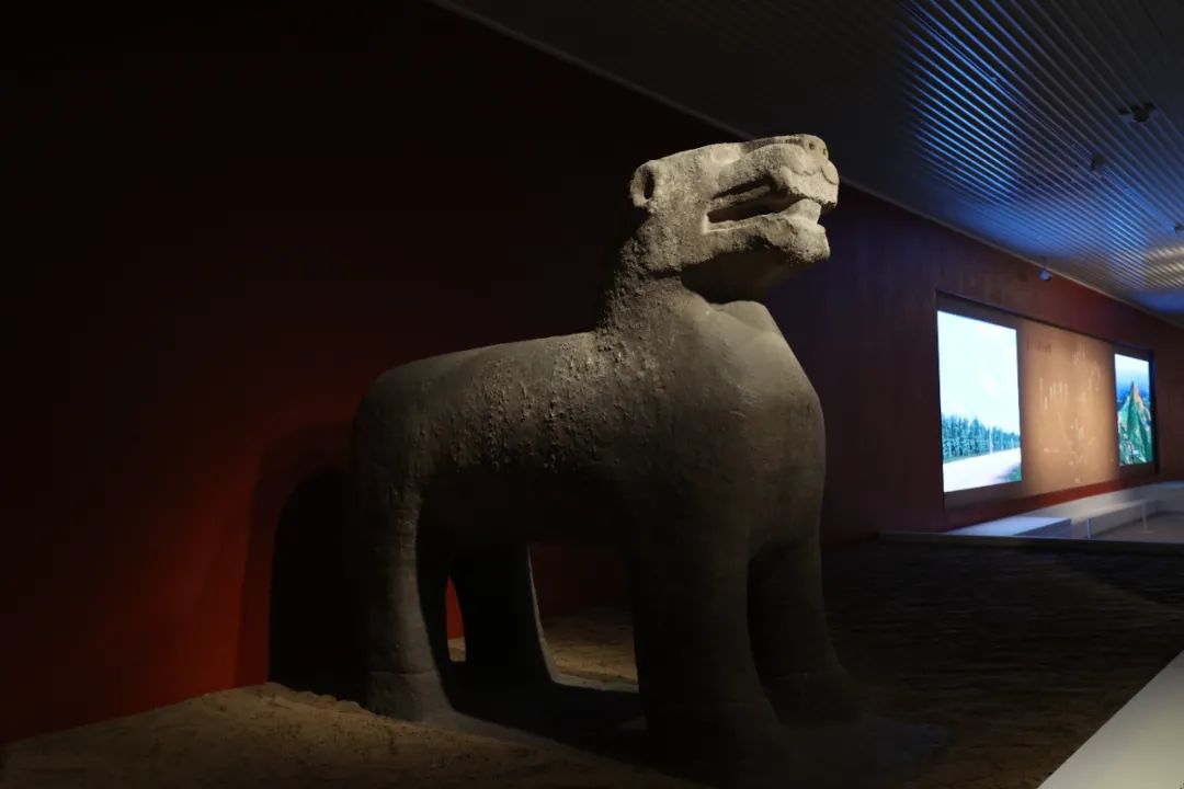 西安碑林“石刻艺术室”焕新:从汉画像石看到唐代石虎
