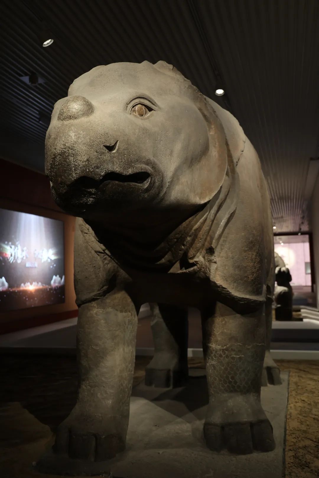 西安碑林“石刻艺术室”焕新:从汉画像石看到唐代石虎