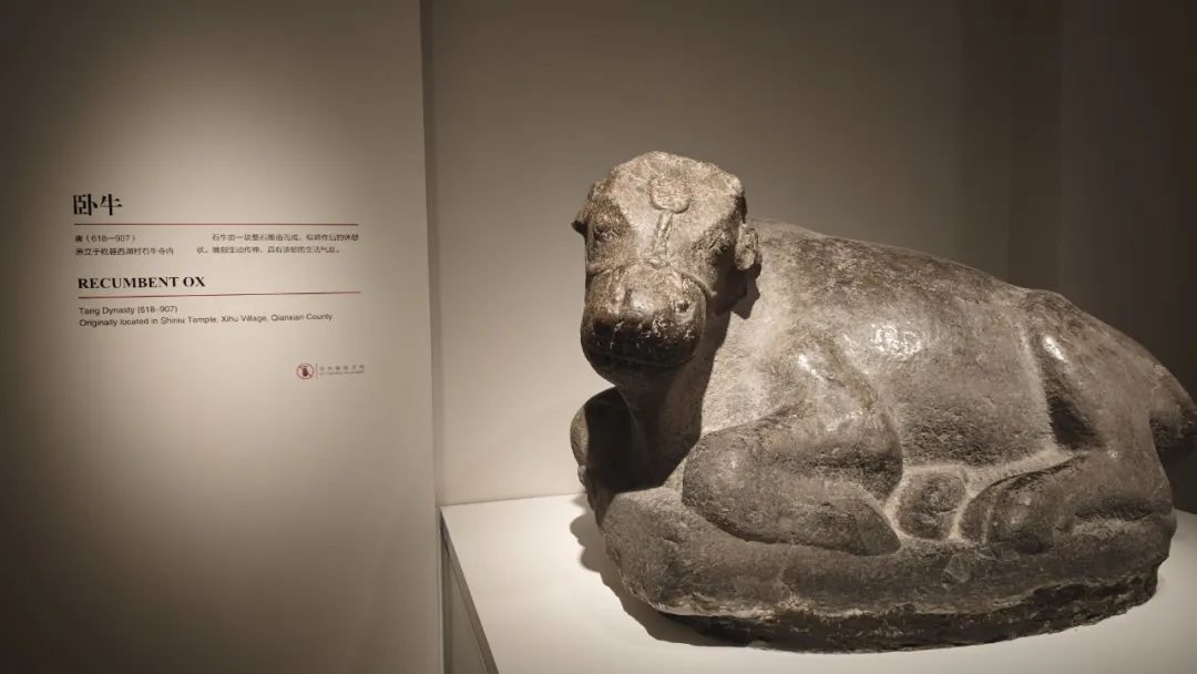西安碑林“石刻艺术室”焕新:从汉画像石看到唐代石虎