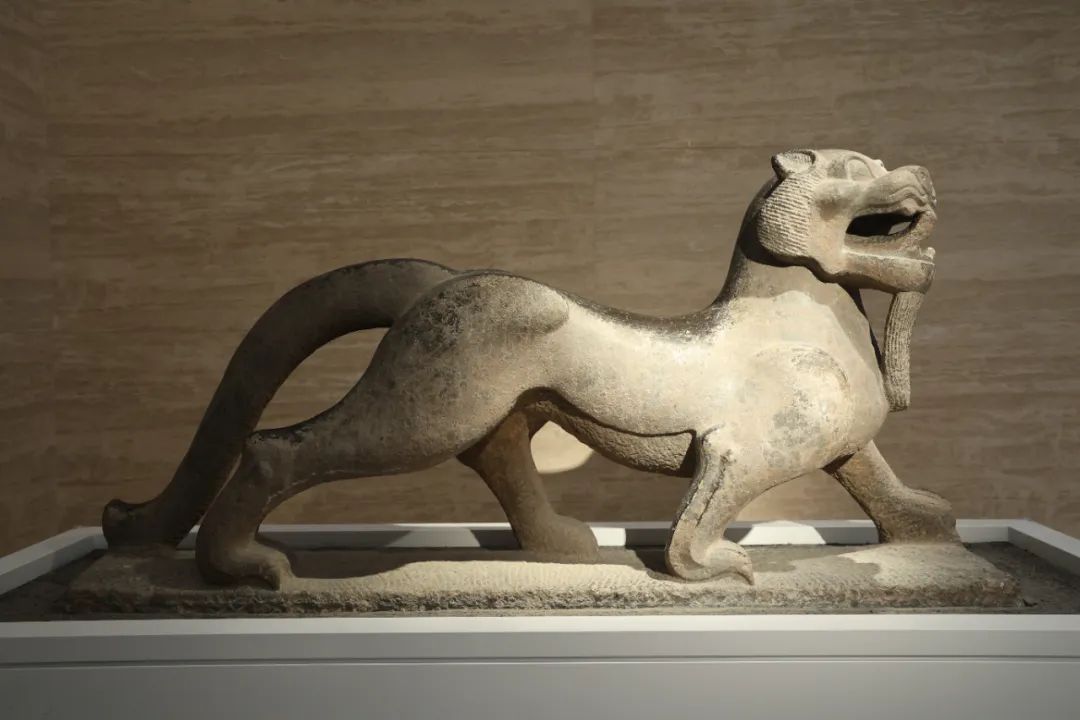 西安碑林“石刻艺术室”焕新:从汉画像石看到唐代石虎