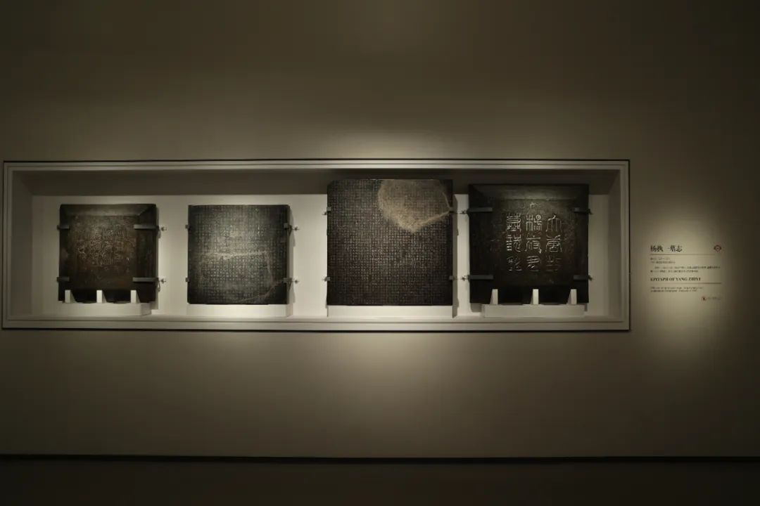 西安碑林“石刻艺术室”焕新:从汉画像石看到唐代石虎