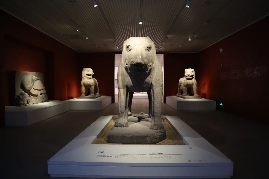西安碑林“石刻艺术室”焕新:从汉画像石看到唐代石虎