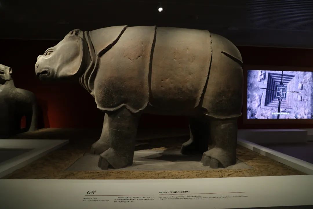 西安碑林“石刻艺术室”焕新:从汉画像石看到唐代石虎