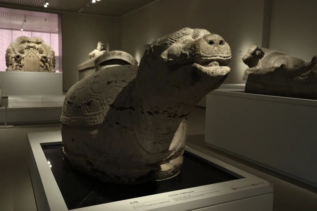 西安碑林“石刻艺术室”焕新:从汉画像石看到唐代石虎