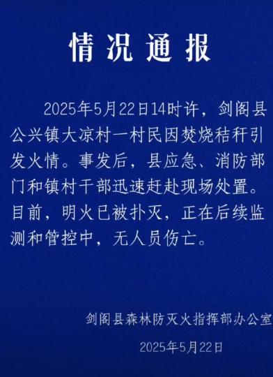 四川剑阁：山火系一村民烧秸秆引发，明火已扑灭无人员伤亡
