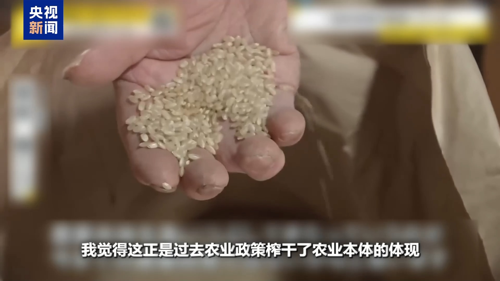 日本“米荒”还在继续,米价咋就难倒了这个“吃米大国”?