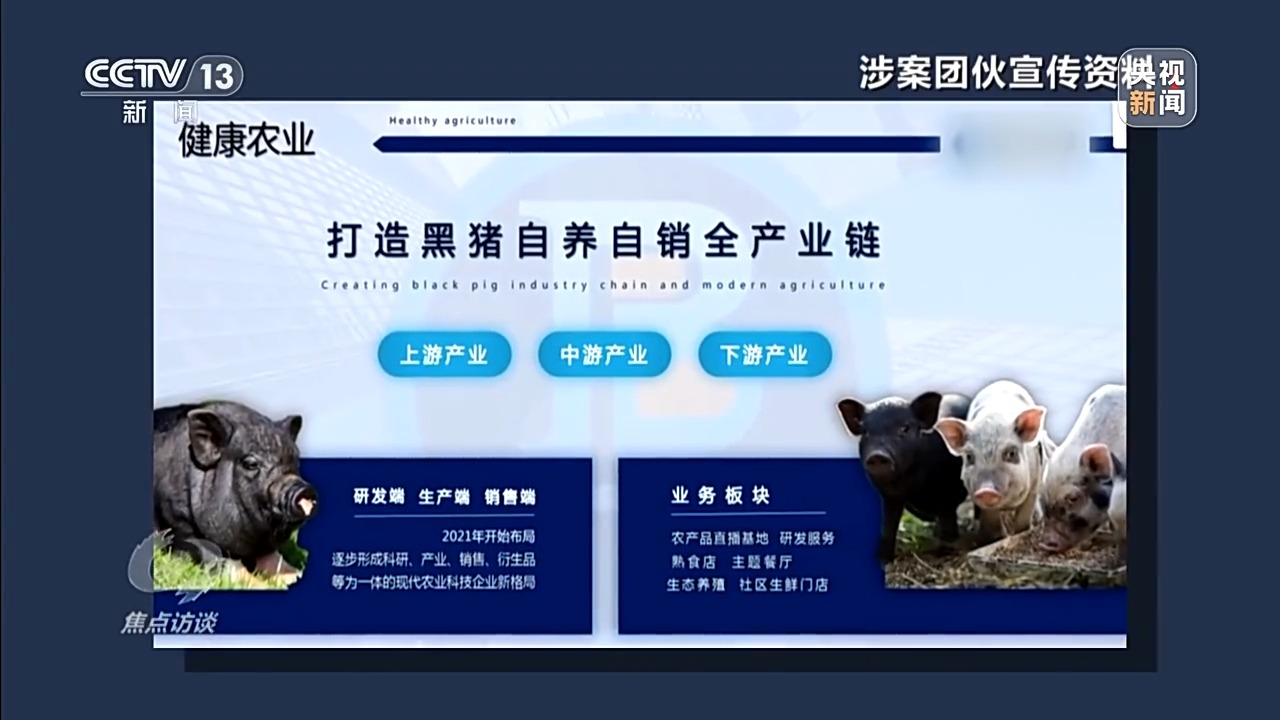 万元认养一头猪，200天就能赚6000元？起底“云养殖”里的骗局