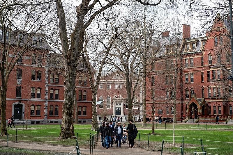 美官员：特朗普政府打算取消所有用于哈佛大学的联邦资金