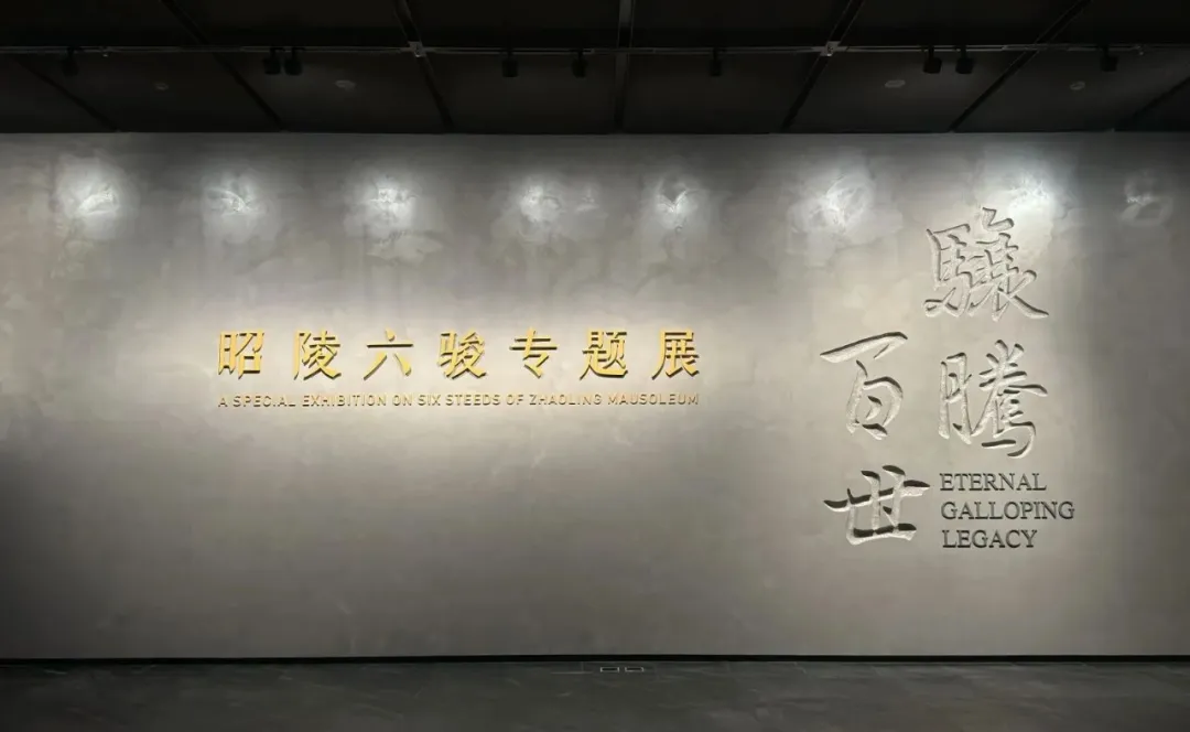 “昭陵六骏专题展”：凝固的石马，看六骏前世今生