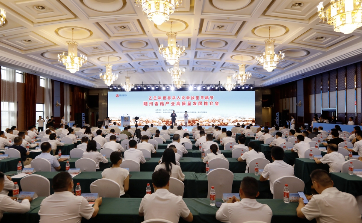 随州寻根节创新密码：AI赋能实现“云端观礼”，产业联动助推经济发展