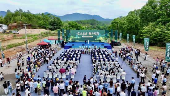 江西兴国县古龙岗镇首届艾草文旅消费季启幕