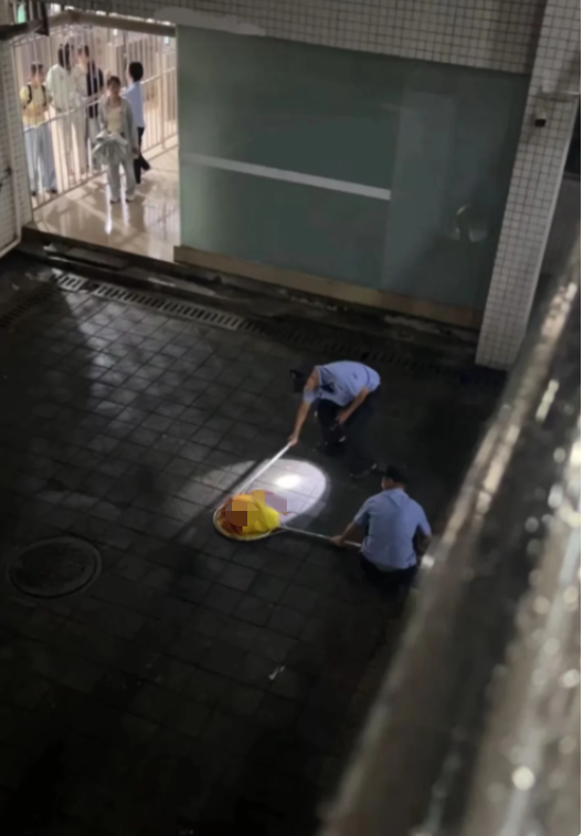 北理工回应“保安当学生面打死流浪猫”：停职及调离学校岗位