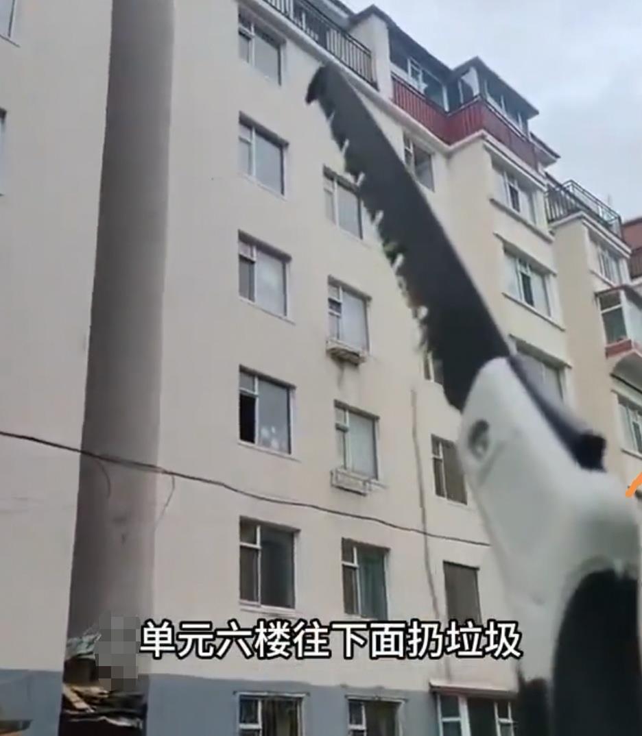 糖心vlog官方网址进入:糖心logo在线看免费-吉林延吉一小区住户6楼抛物险砸到小学生，居委会：已报警，正协调处理