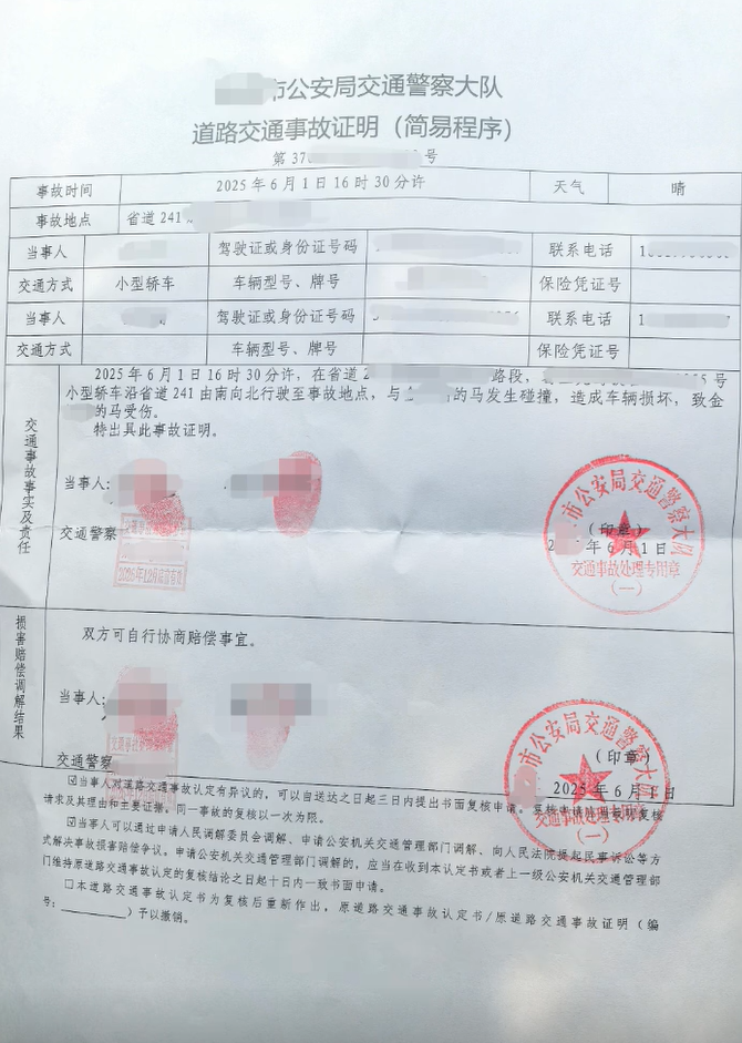 省道上蹿出一匹马撞碎小车前挡风玻璃,车马相撞如何定责?