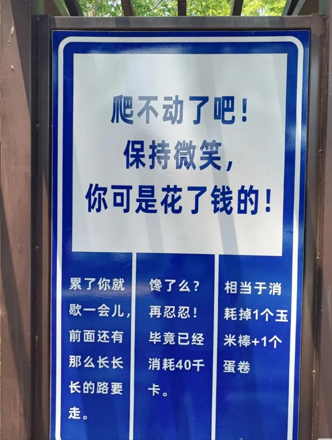 青岛一景区指示牌被指“嘲讽感拉满”,回应:为游客鼓舞士气