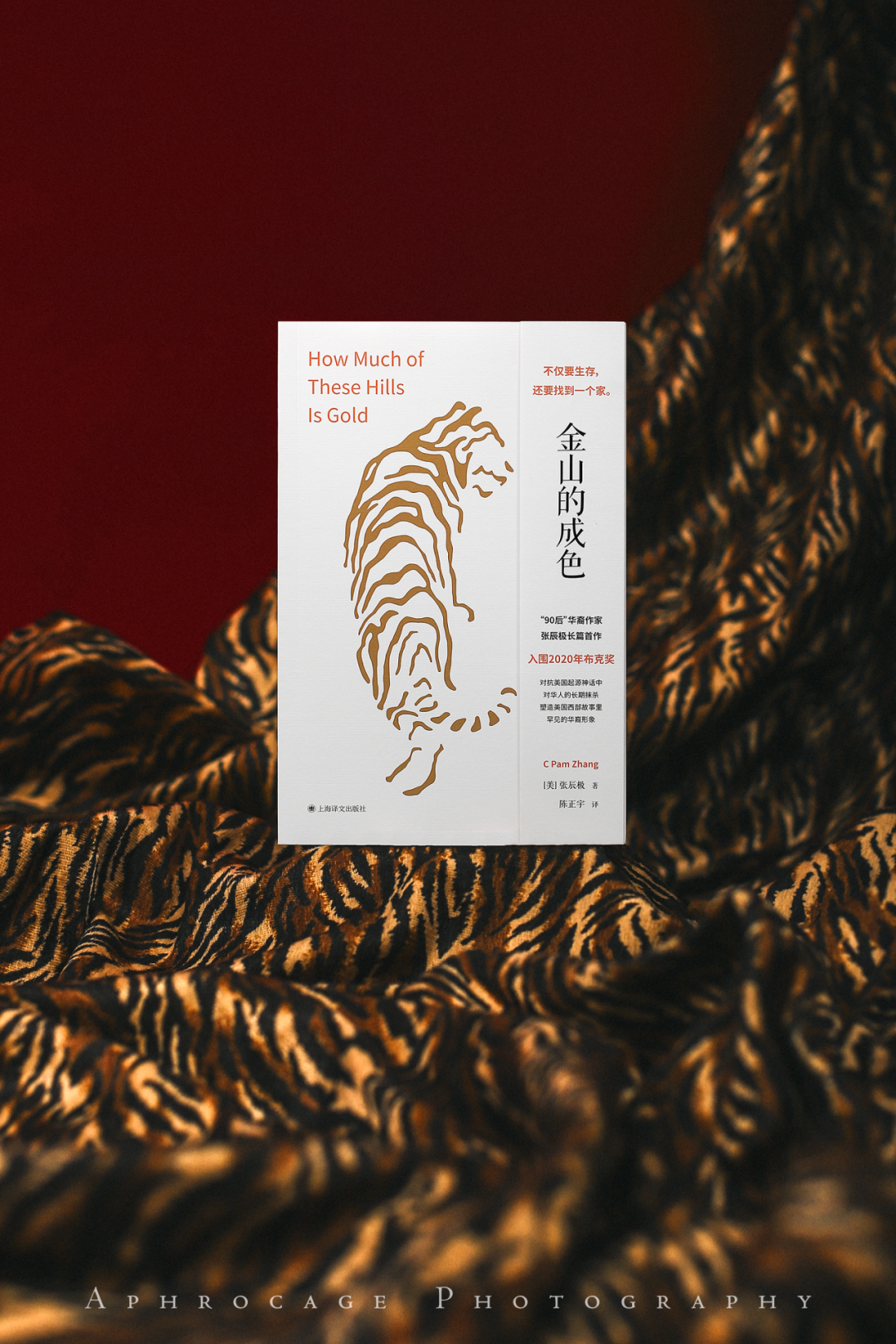 李安敲定新片《旧金山》，原著小说《金山的成色》已出中文版