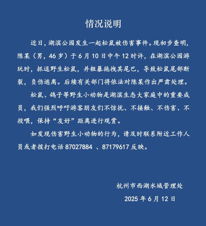 杭州通报西湖边松鼠被伤害事件：将对涉事男子作出严肃处理