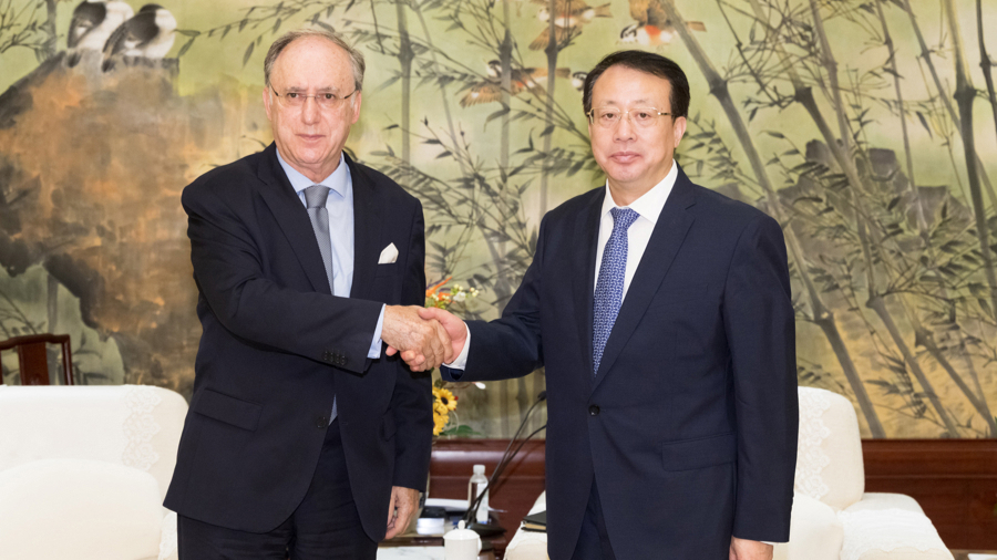 龚正市长会见禁止化学武器组织总干事，在推动全球化学安全治理中发挥上海作用