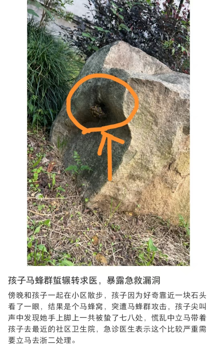 家长称6岁女儿被马蜂蜇伤辗转5家医院才得到治疗,杭州卫健委回应