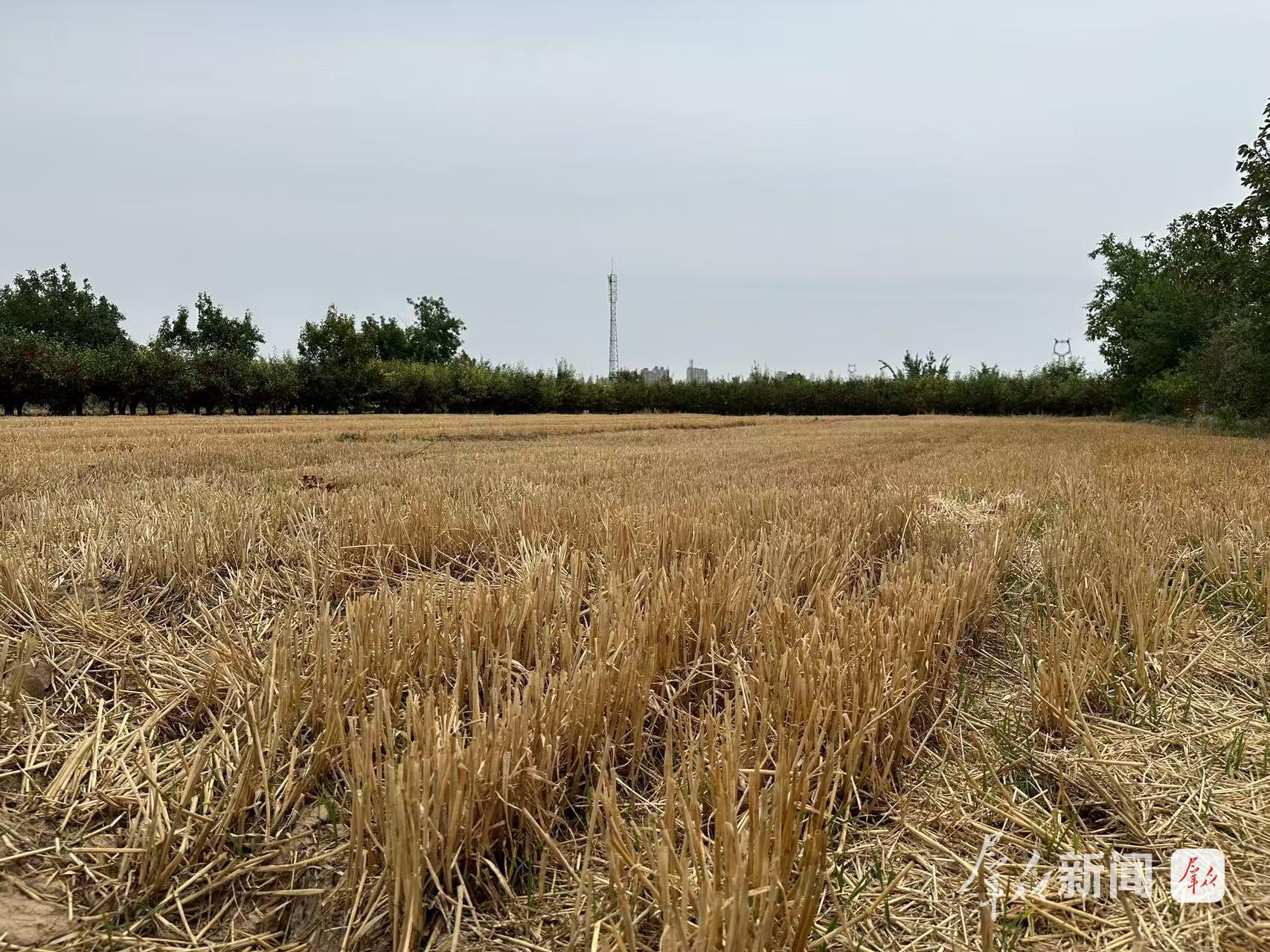 咸阳乾县一村庄水泵“罢工” ，近300亩耕地面临撂荒