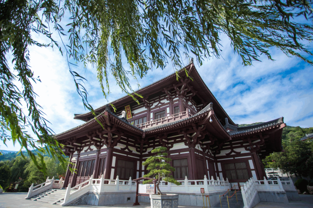文旅融合科技赋能，陕旅集团助力万亿级支柱产业崛起